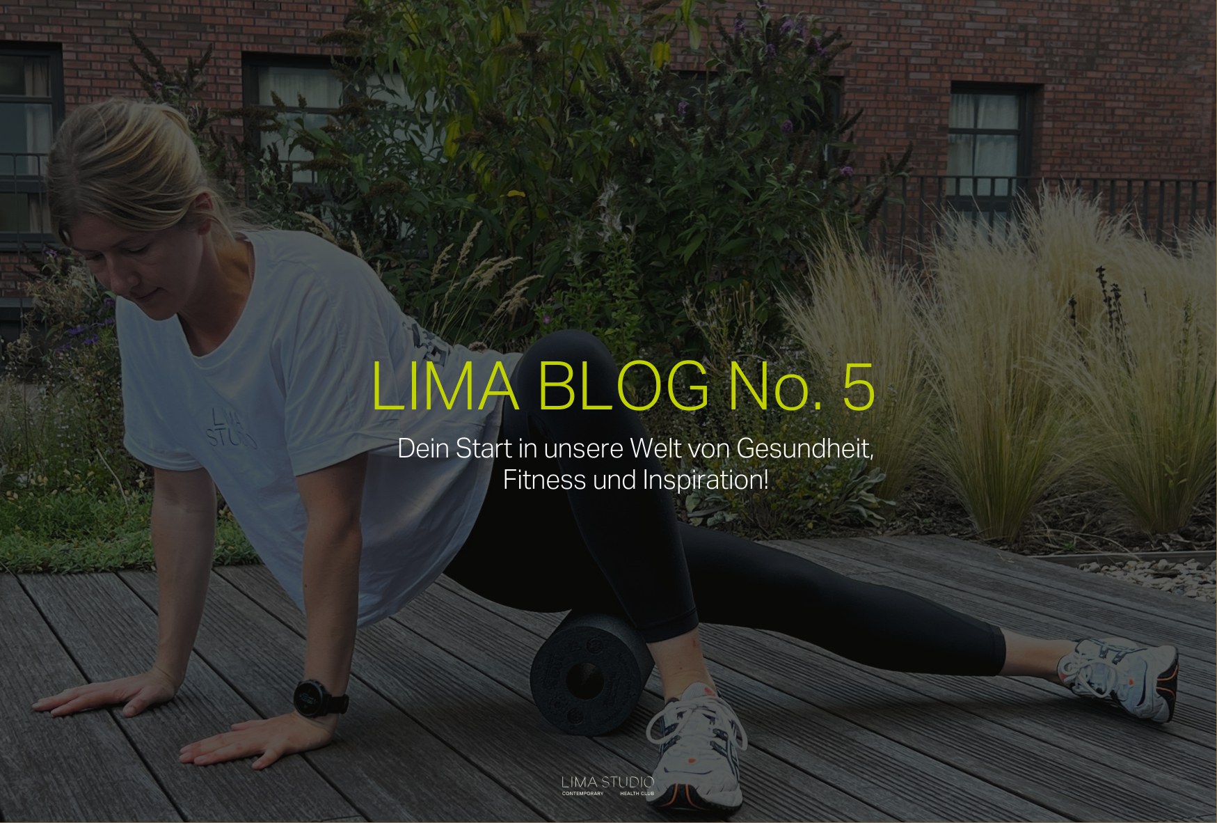 Blog No. 5
