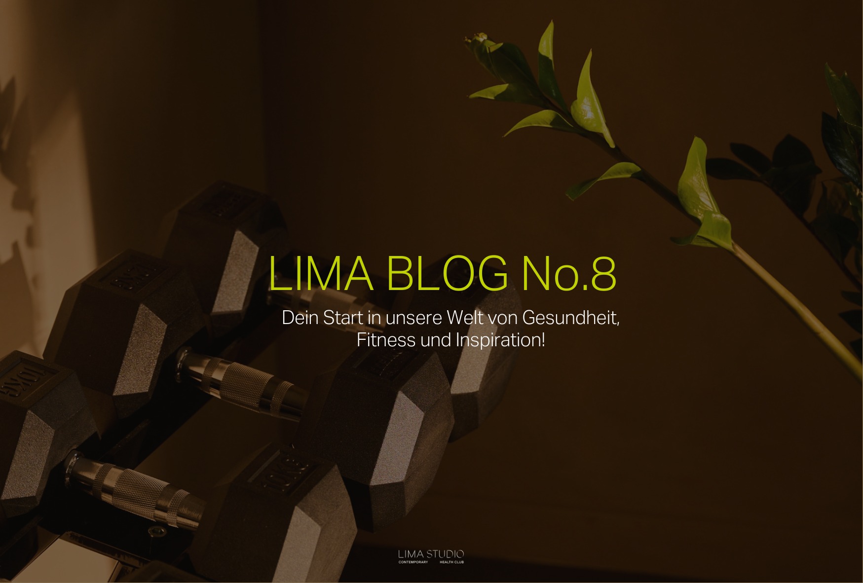 Wirksamkeit von Krafttraining bei chronischen unspezifischen Nacken- und Schulterschmerzen